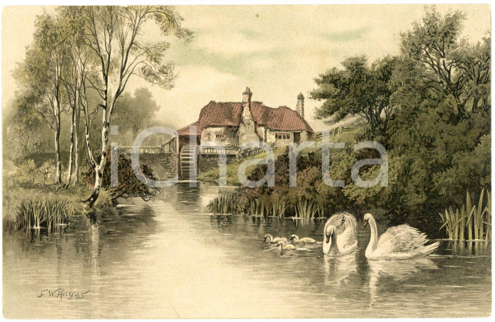 1900 ca Artist Frederick William HAYES Landscape with mill and swans - Postcard Cartolina d'epoca, non viaggiata. FAIR/discreto Lievi smussature agli angoli Formato: FP originale e autentica 1