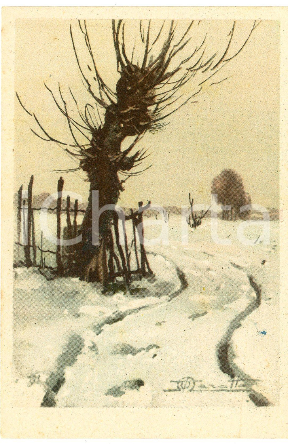 1920 ca Artista V. MAROTTA Gelso e campagna innevata - Cartolina ILLUSTRATA FP  Cartolina postale d'epoca, non viaggiata. FAIR/discreto Lievi smussature agli angoli Formato: FP originale e autentica 1
