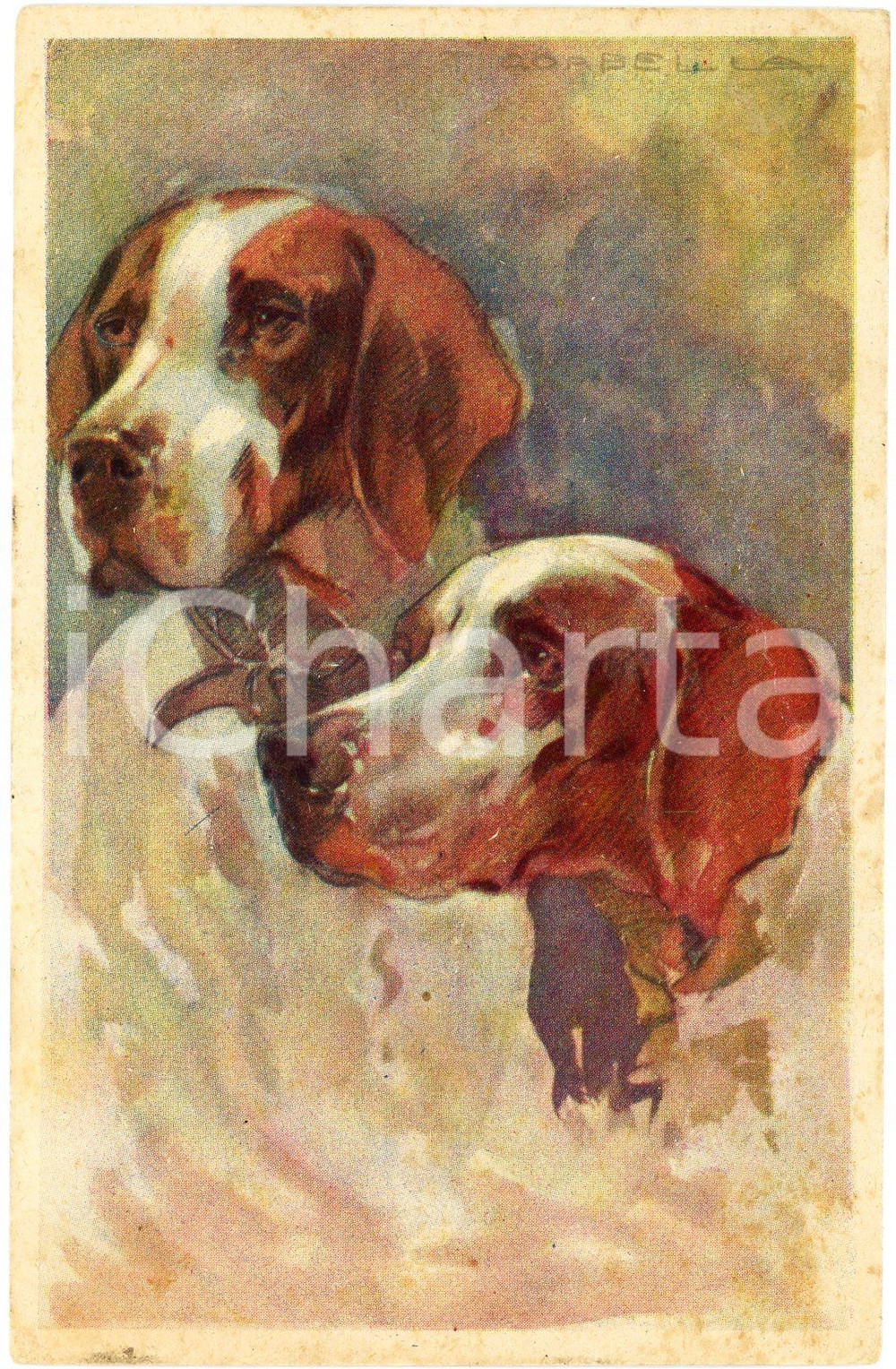 1920 ca Artista Tito CORBELLA - Coppia di cani - Cartolina DANNEGGIATA FP NV  Cartolina postale d'epoca, non viaggiata. VERY POOR/gravemente danneggiato varie piegature; macchie al verso Formato: 9x14 cm originale e autentica 1