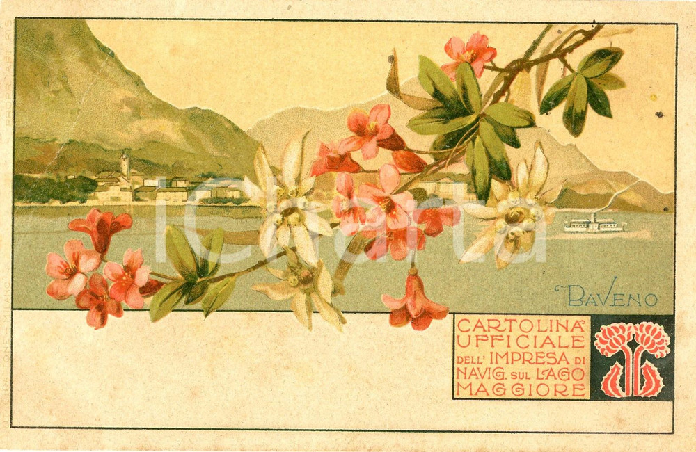 1900 ca BAVENO Cartolina ufficiale Impresa di Navigazione LAGO MAGGIORE  Cartolina postale d'epoca, non viaggiata. POOR/danneggiato ampia piegatura angolare Formato: 14x9 cm originale e autentica 1