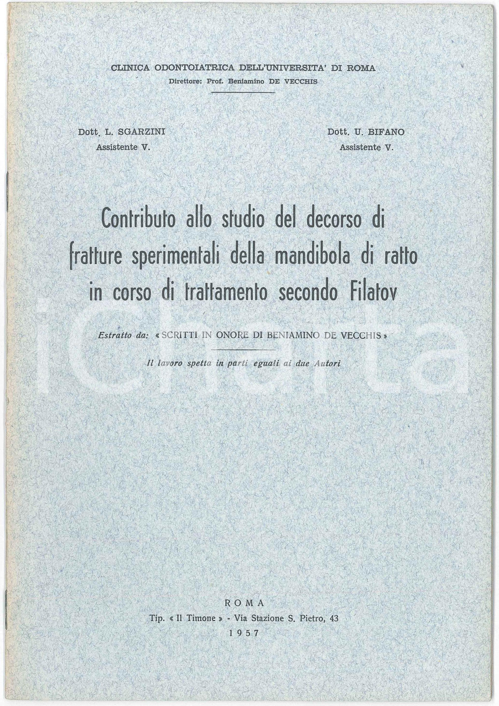 1957 Luciano SGARZINI - U. BIFANO Trattamento secondo V. P. FILATOV *Estratto Pubblicazione d'epoca illustrata. "Contributo allo studio del decorso di fratture sperimentali della mandibola del ratto in corso di trattamento secondo Filatov"Estratto da "Scritti in onore di Beniamino De Vecchis"EDITORE: Clinica Odontoiatrica dell'Università di RomaTIPOGRAFIA: Il Timone - RomaPAGINE: 12 GOOD/buono  Formato: 17x24 cm originale e autentica 1