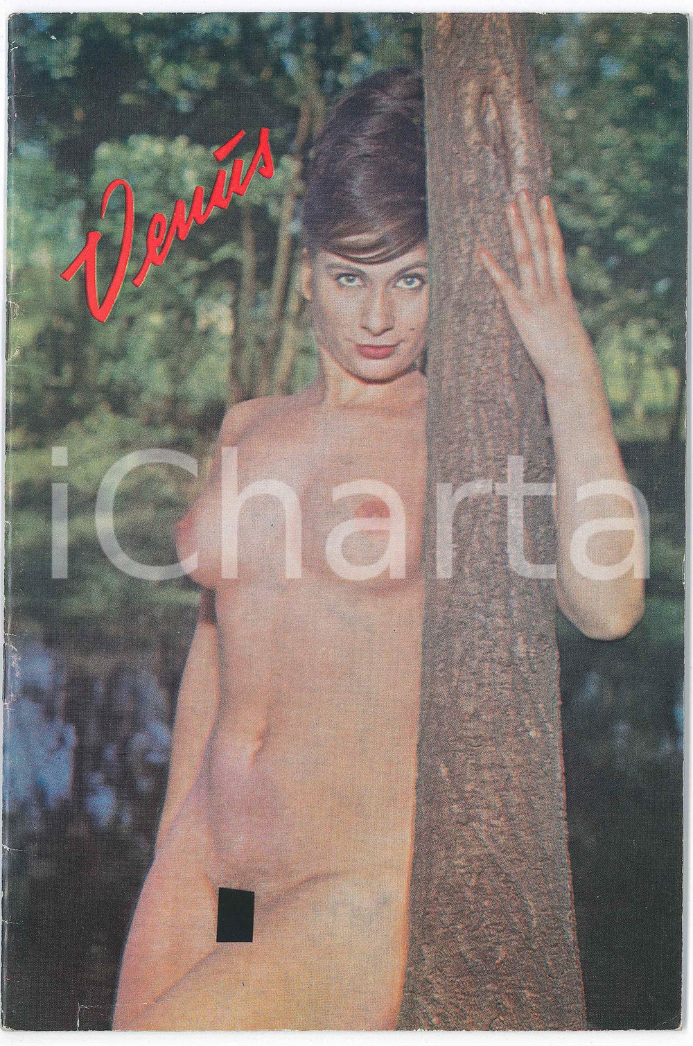 1955 ca EROTICA VINTAGE Venus - Erotic magazine by SANGKO - NORDEN (1) Pubblicazione d'epoca, illustrata.  FAIR/discreto Lievi gualciture in copertina Formato: 15x23 cm originale e autentica 1