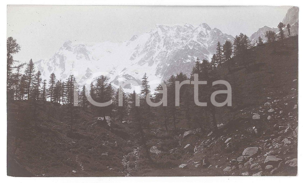 1905 ca MACUGNAGA (VCO) Il MONTE ROSA dal Belvedere - Foto VINTAGE 14x8 cm  Fotografia d'epoca. GOOD/buono  Formato: 14x8 cm originale e autentica 1