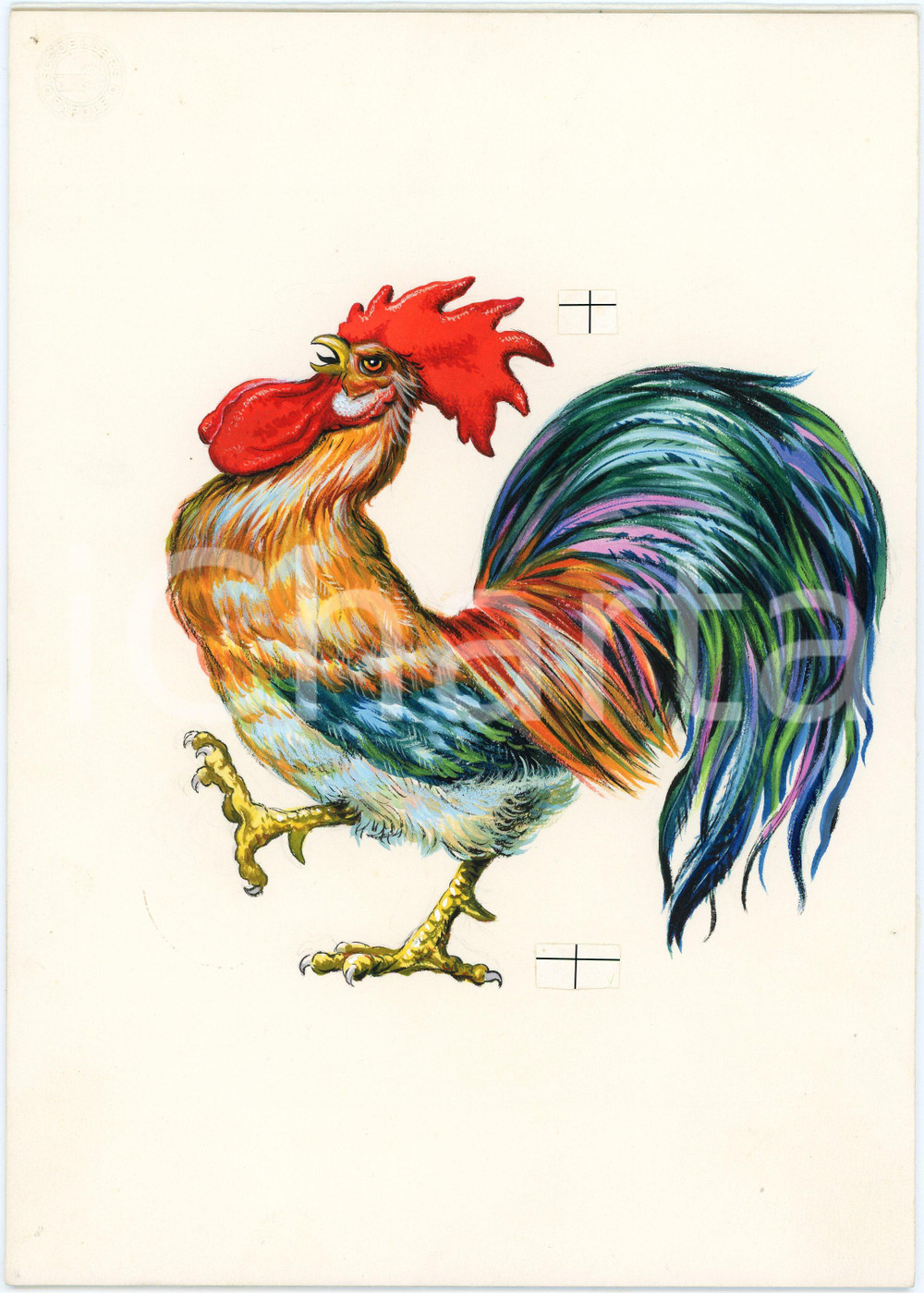 1960 ca ITALIA Gallo - Decalcomania originale su carta SCHOELLERS PAROLE Decalcomania originale, con velina protettiva, su cartoncino rigido. GOOD/buono  Formato: 25x18 cm originale e autentica 1