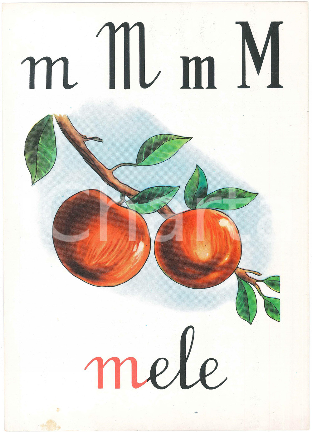 1955 ca ABBECEDARIO Alfabeto murale illustrato - M di Mele - 24x34 cm  Alfabeto murale illustrato, su cartoncino.Editrice La Scuola - Brescia FAIR/discreto Lievi smussature agli angoli Formato: 24x34 originale e autentica 1