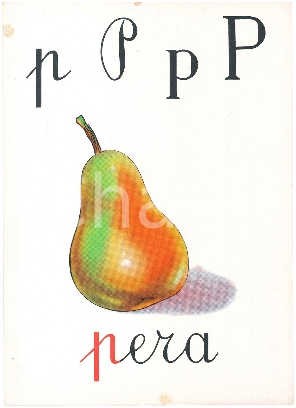 1955 ca ABBECEDARIO Alfabeto murale illustrato - P di Pera - 24x34 cm  Alfabeto murale illustrato, su cartoncino.Editrice La Scuola - Brescia POOR/danneggiato Lievi smussature agli angoli, macchie diffuse Formato: 24x34 originale e autentica 1