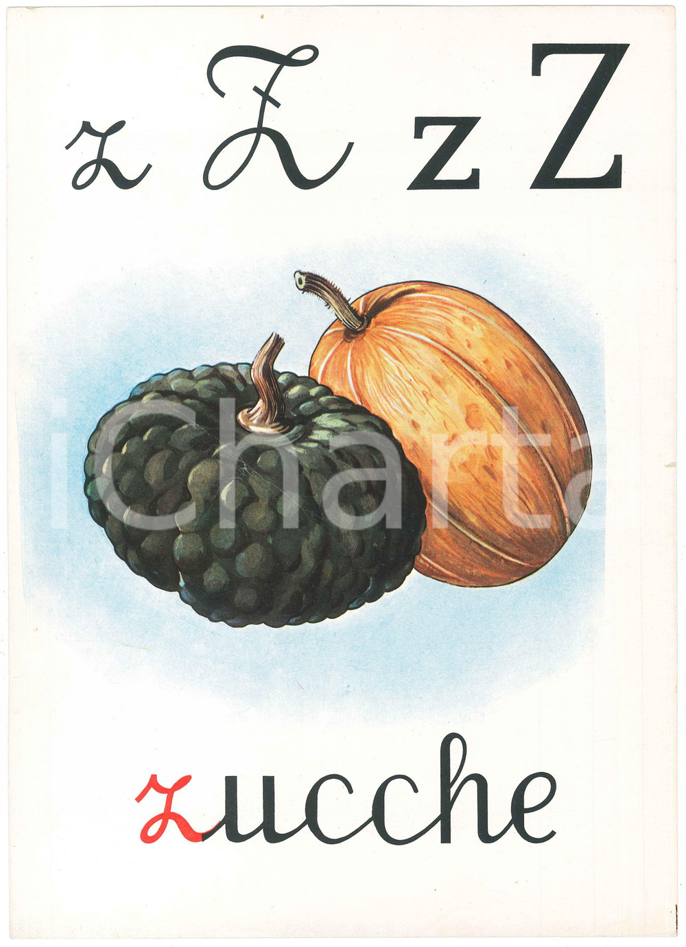 1955 ca ABBECEDARIO Alfabeto murale illustrato - Z di Zucche - 24x34 cm  Alfabeto murale illustrato, su cartoncino.Editrice La Scuola - Brescia FAIR/discreto Lievi smussature agli angoli Formato: 24x34 originale e autentica 1