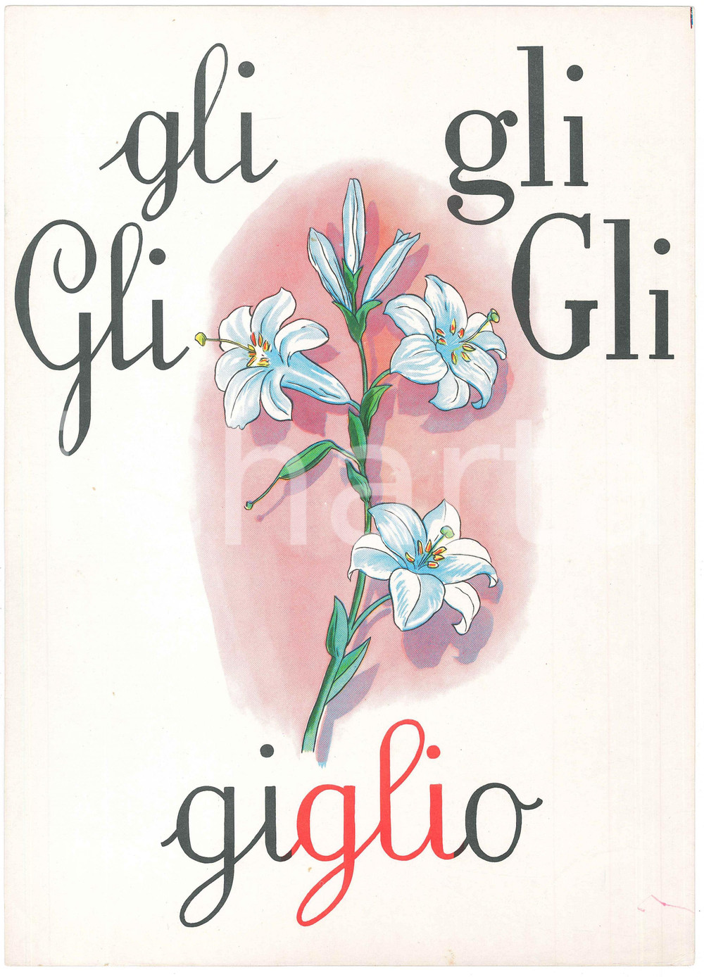 1955 ca ABBECEDARIO Alfabeto murale illustrato - GLI di Giglio - 24x34 cm  Alfabeto murale illustrato, su cartoncino.Editrice La Scuola - Brescia FAIR/discreto Lievi smussature e piegature agli angoli Formato: 24x34 originale e autentica 1