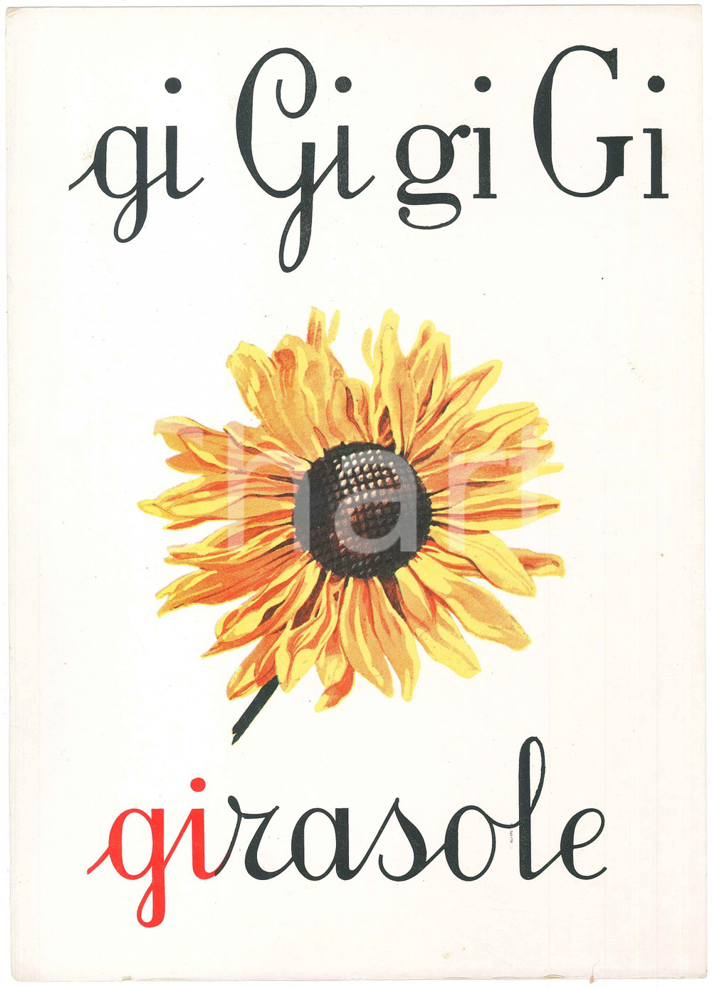 1955 ca ABBECEDARIO Alfabeto murale illustrato - GI di Girasole - 24x34 cm  Alfabeto murale illustrato, su cartoncino.Editrice La Scuola - Brescia FAIR/discreto Lievi smussature agli angoli, strapppo al margine inferiore Formato: FP originale e autentica 1