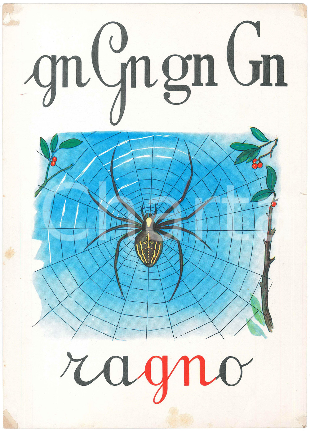 1955 ca ABBECEDARIO Alfabeto murale illustrato - GN di Ragno - 24x34 cm  Alfabeto murale illustrato, su cartoncino.Editrice La Scuola - Brescia POOR/danneggiato Abrasioni e strappi agli angoli, strappo al margine destro, residui di nastro adesivo agli angoli Formato: FP originale e autentica 1