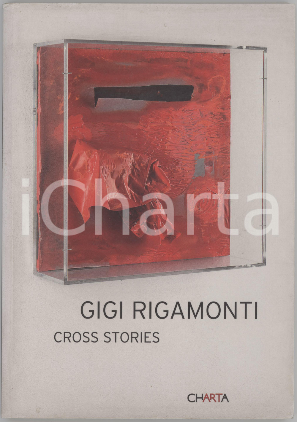 Libro, pubblicazione d epoca 2009 Manuela GANDINI  Gigi Rigamonti. Cross stories  Catalogo mostra 1