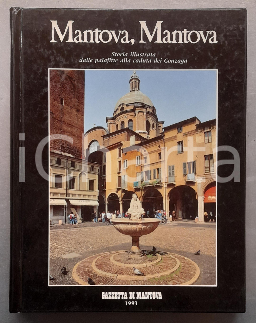 Libro, pubblicazione d epoca 1993 Mario CATTAFESTA Mantova, Mantova  Storia illustrata della città 1