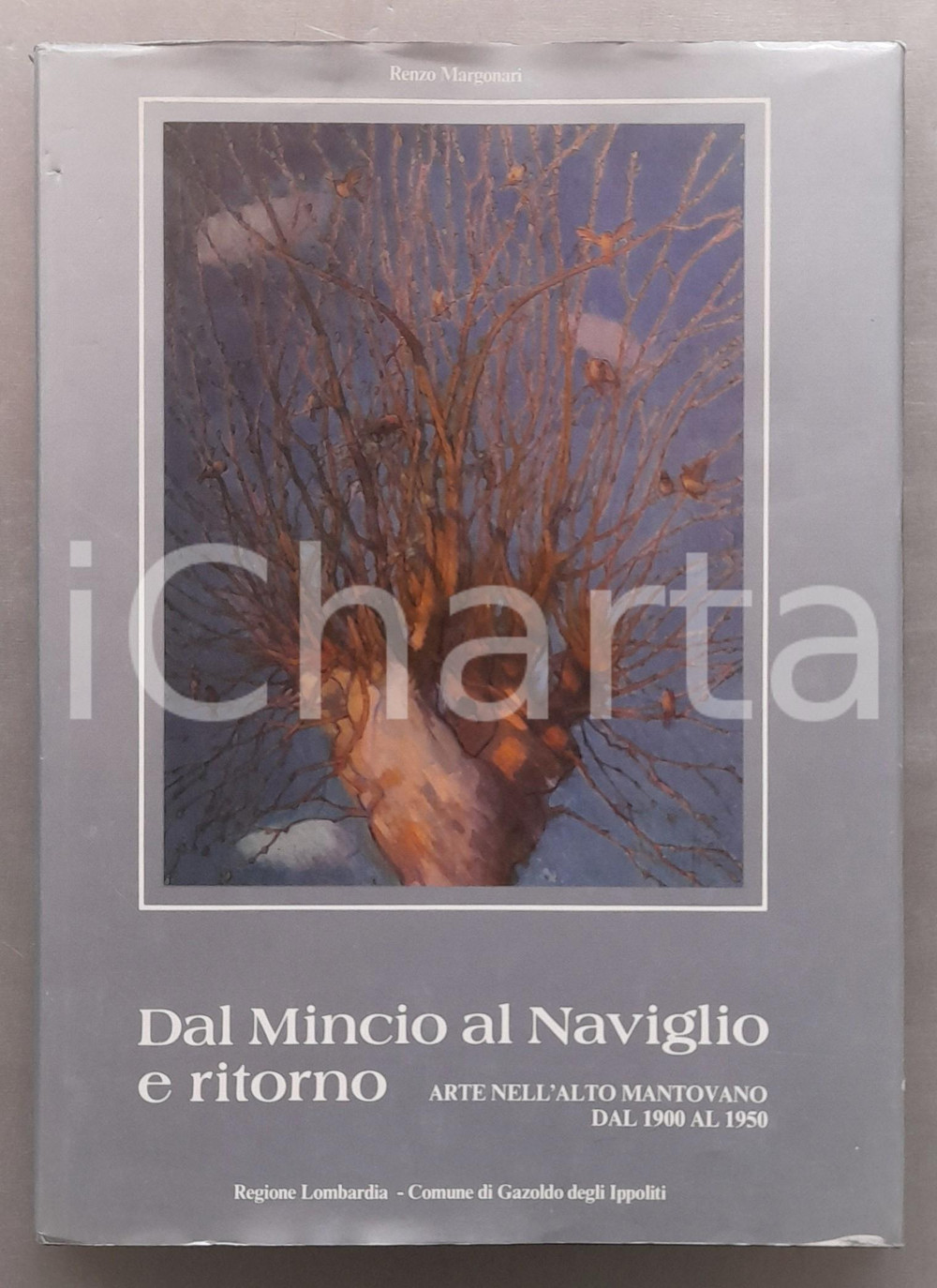 Libro, pubblicazione d epoca 1983 R. MARGONARI Dal Mincio al Naviglio e ritorno. Artisti nell Alto Mantovano 1