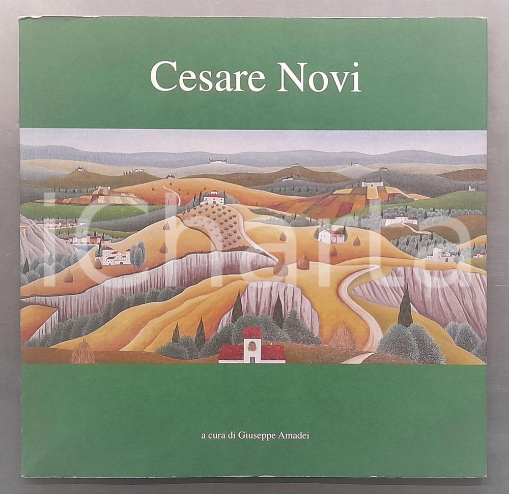Libro, pubblicazione d epoca 2000 Giuseppe AMADEI  Cesare NOVI  Catalogo ILLUSTRATO 1