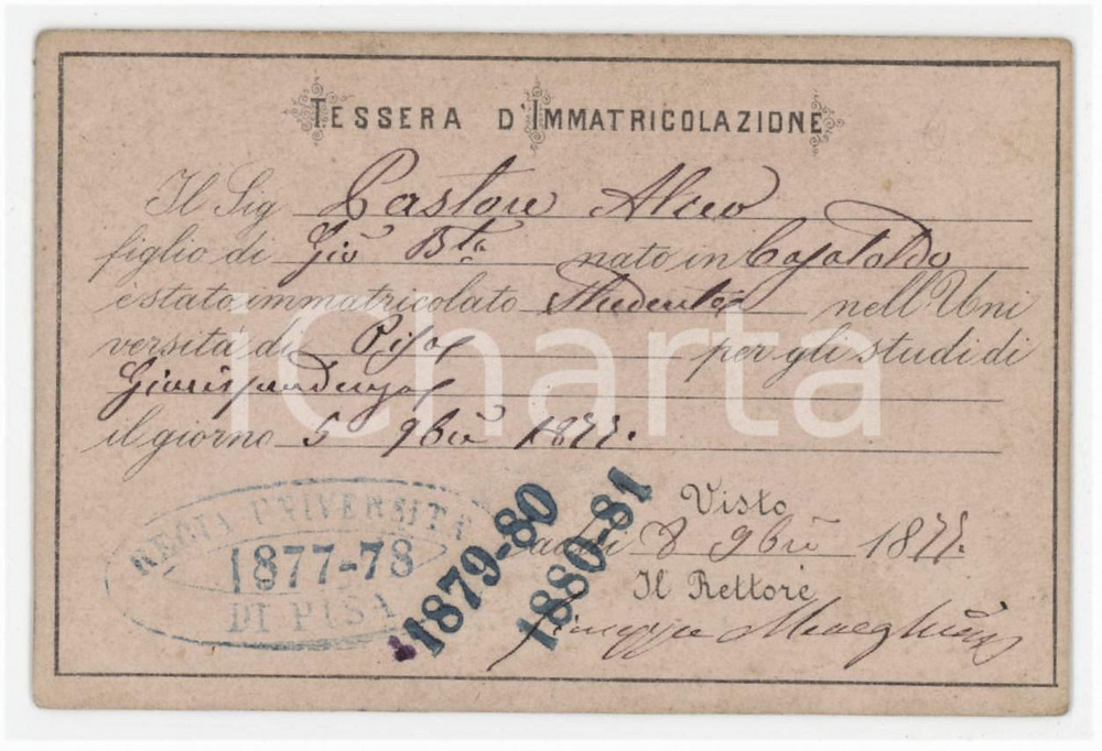1877 REGIA UNIVERSITÀ DI PISA Giurisprudenza - Tessera di immatricolazione 10x6 Tessera d'epoca.  FAIR/discreto Lievi smussature agli angoli Formato: 10x cm originale e autentica 1