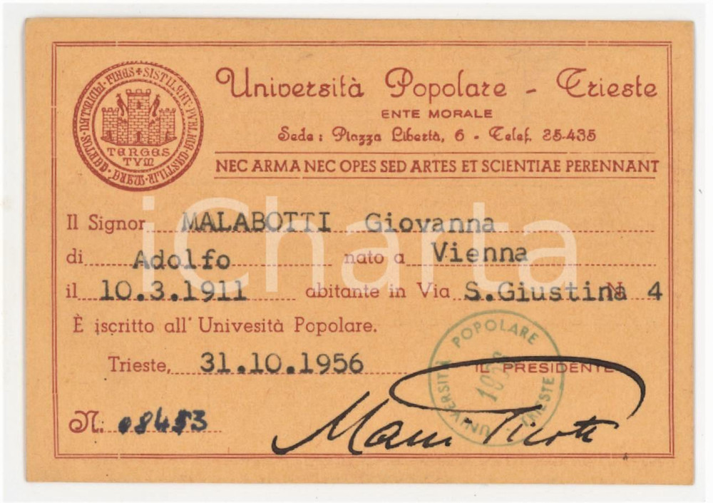 1956 TRIESTE Lega Nazionale - Università Popolare - Tessera 11x8 cm Tessera d'epoca. FAIR/discreto Lievi smussature agli angoli Formato: 11x8 cm originale e autentica 1