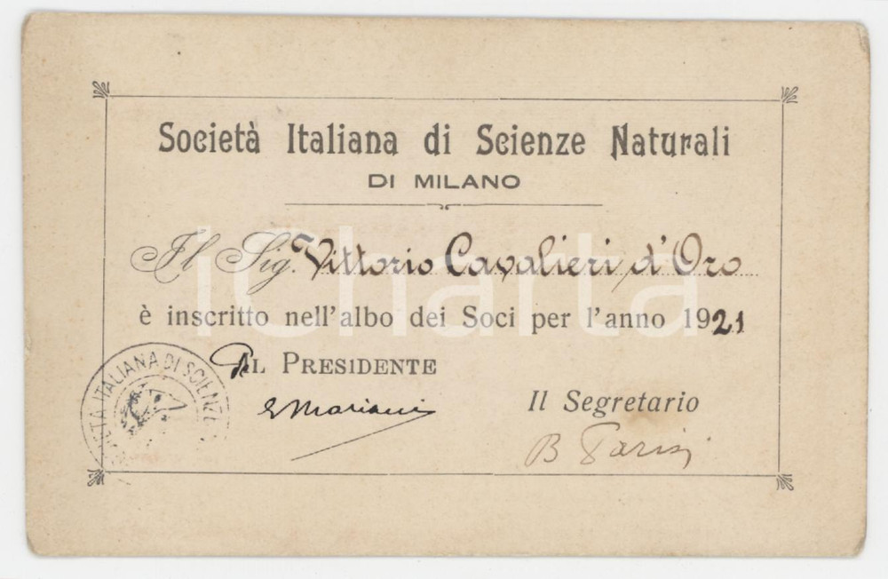 1921 MILANO Società Italiana di Scienze Naturali - Tessera 10x7 cm Tessera d'epoca. FAIR/discreto Lievi smussature agli angoli Formato: 10x7 cm originale e autentica 1
