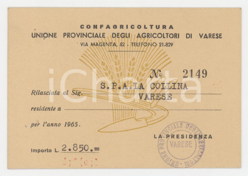 1965 VARESE - CONFAGRICOLTURA Unione provinciale agricoltori - Tessera 11x7 cm Tessera d'epoca.  FAIR/discreto Forellini da graffetta all'angolo superiore sinistro Formato: 11x7 cm originale e autentica 1