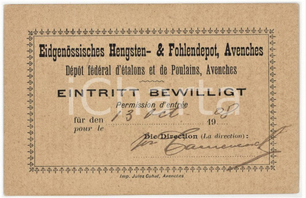 1908 AVENCHES Dépot fédéral d'étalons et de poulains - Permission d'entrèe 10x7