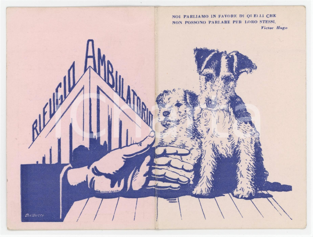 1961 BRESCIA Lega nazionale per la difesa del cane - Tessera ILLUSTRATA 7x11 cm