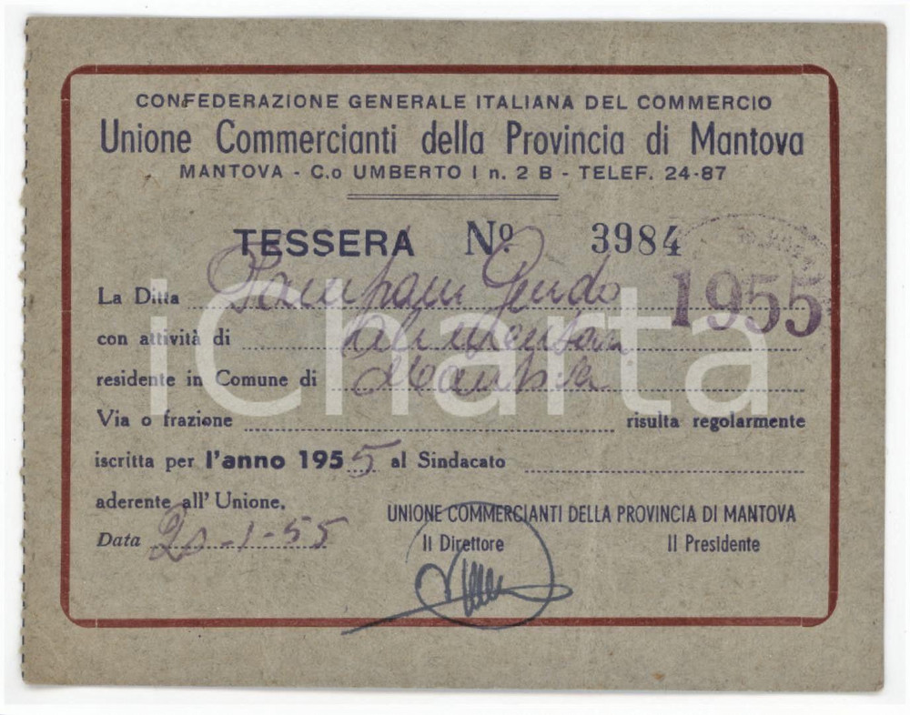 1955 MANTOVA Unione commercianti della Provincia - Tessera 11x8 cm