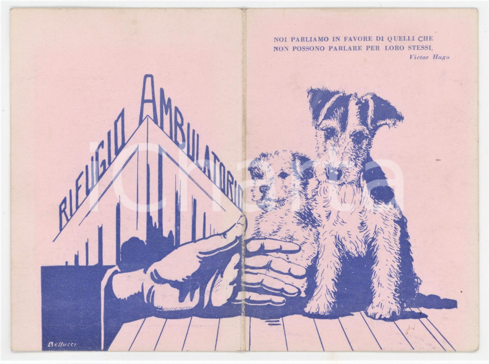 1960 BRESCIA Lega nazionale per la difesa del cane - Tessera ILLUSTRATA 7x11 cm Tessera d'epoca.  FAIR/discreto Smussatura agli angoli, aloni Formato: 7x11 cm originale e autentica 1