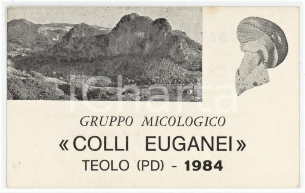 1984 TEOLO Gruppo micologico COLLI EUGANEI Tessera 9x5 cm
