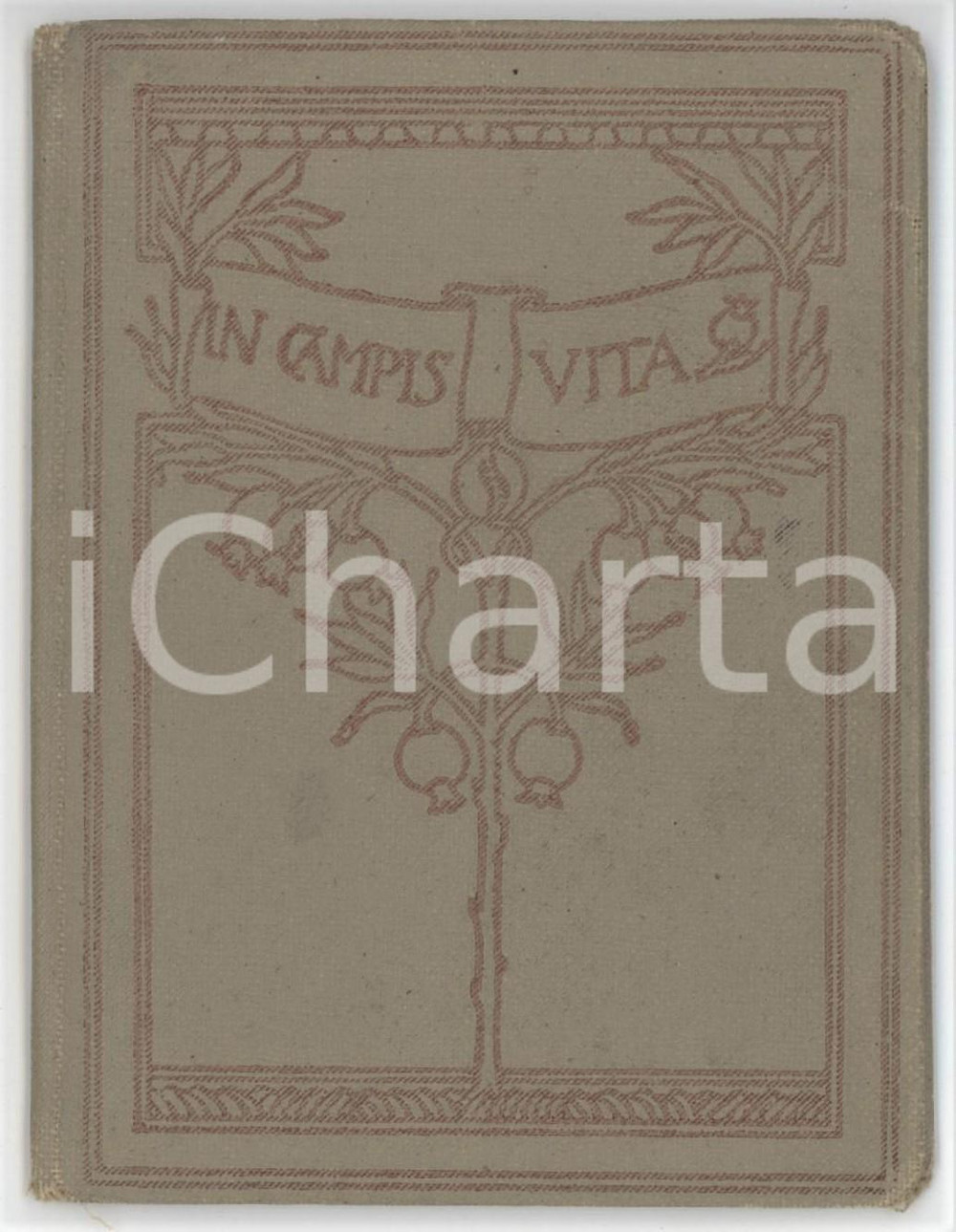 1923 ANCONA - FISA Federazione italiana sindacati agricoltori - Tessera