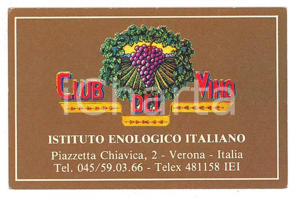 1983 VERONA - CLUB DEL VINO Istituto Enologico Italiano - Tessera 8x5 cm