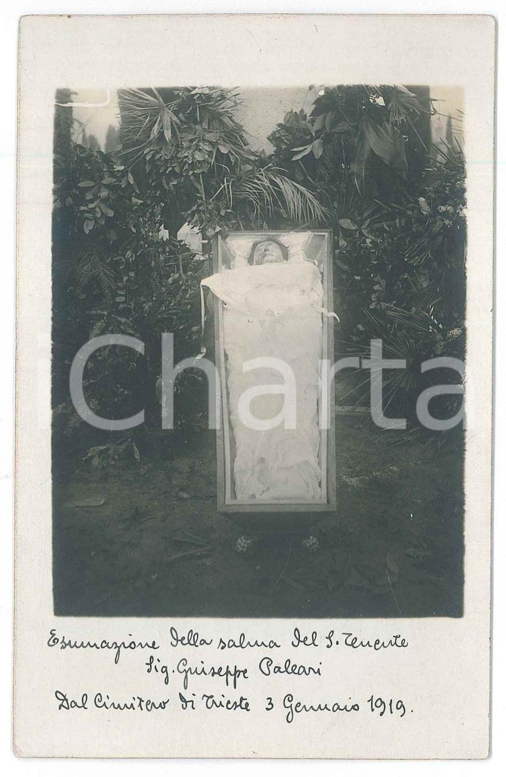 1919 TRIESTE Cimitero - Esumazione salma s.ten. Giuseppe PALEARI - Foto 9x14