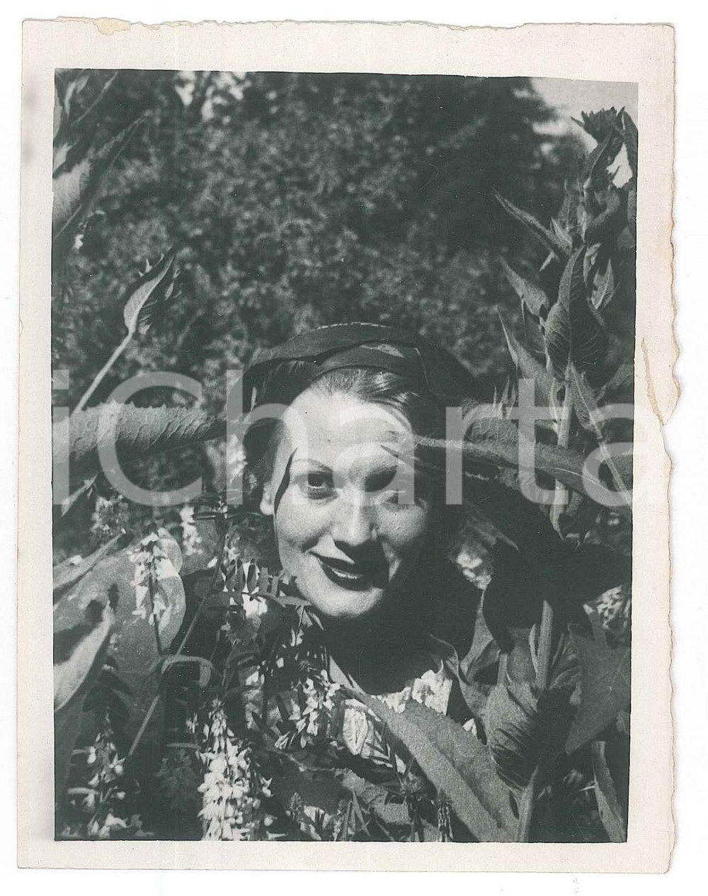 1940 ca CINEMA ITALIA Isa MIRANDA - Ritratto in un bosco *Foto 12x9 cm