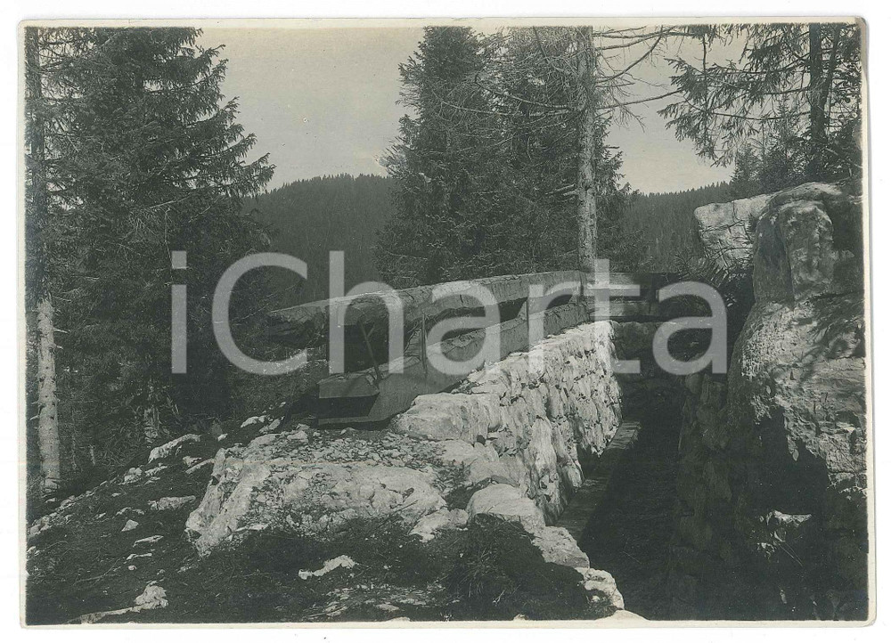 1918 WW1 TRENTINO - Zona di guerra - Veduta con trincea *Foto 17x12 cm Fotografia originale d'epoca, con didascalia manoscritta al verso.  GOOD/buono  Formato: 17x12 cm originale e autentica 1