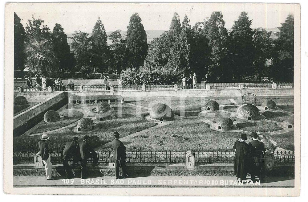 1938 BRASIL - SÃO PAULO Serpentario do Instituto Butantan *ANIMATED Postcard