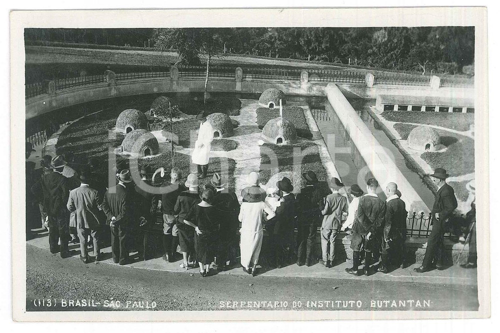 1940 ca BRASIL - SÃO PAULO Serpentario do Instituto Butantan *ANIMATED Postcard