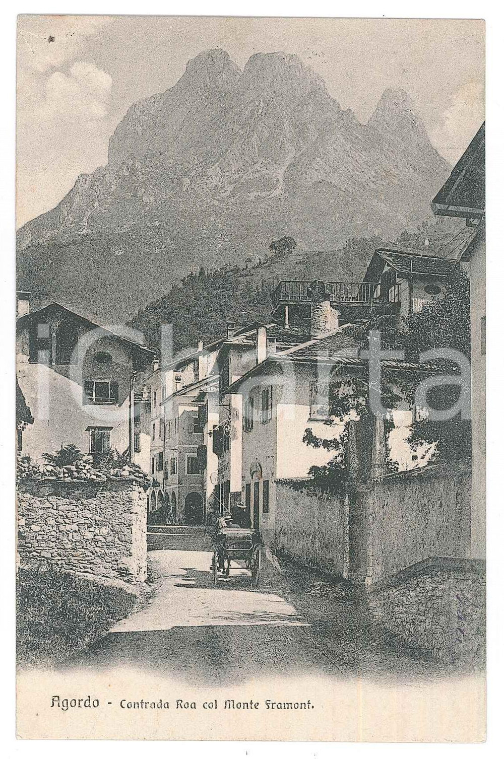1908 AGORDO (BL) Contrada ROA col Monte FRAMONT - Cartolina ANIMATA carrozza