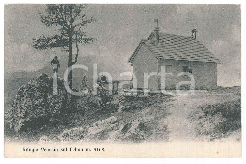 1911 AGORDO (BL) Rifugio Venezia sul Pelmo - Cartolina ANIMATA FP VG