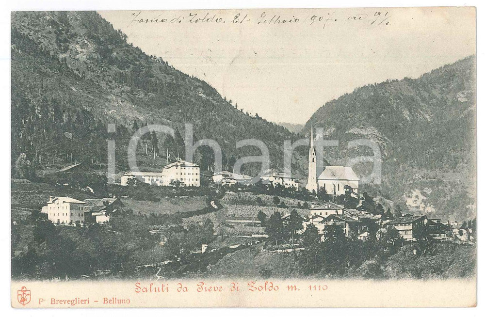 1907 VAL DI ZOLDO Frazione PIEVE Panorama del paese - Cartolina FP VG
