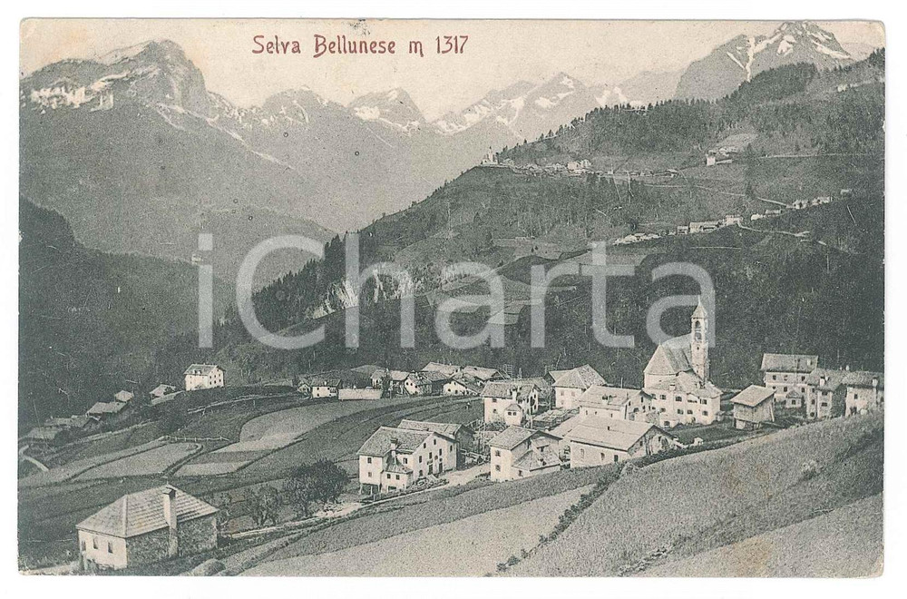 1908 SELVA DI CADORE (BL) Panorama - Cartolina postale FP VG