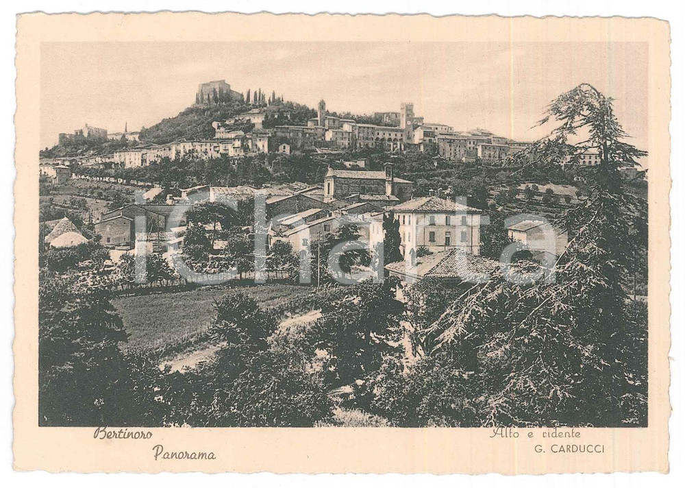 1941 BERTINORO (FC) Panorama del paese - Cartolina FG VG