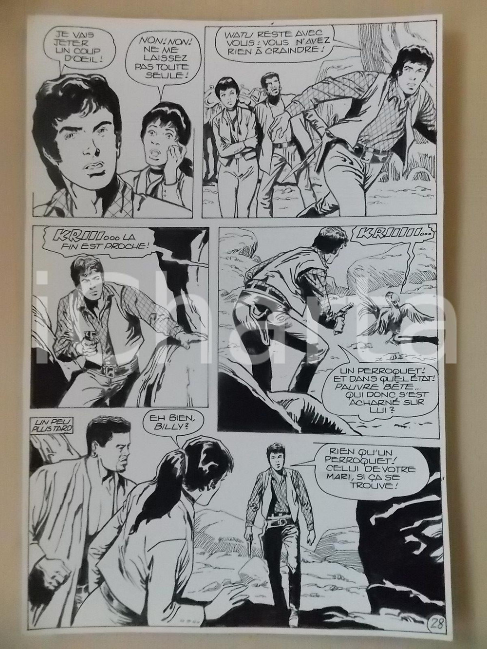 Opera d’arte autentica 1990 BILLY BOYD Ep.5 Luciano BERNASCONI Pappagallo nel canyon Tavola originale 1