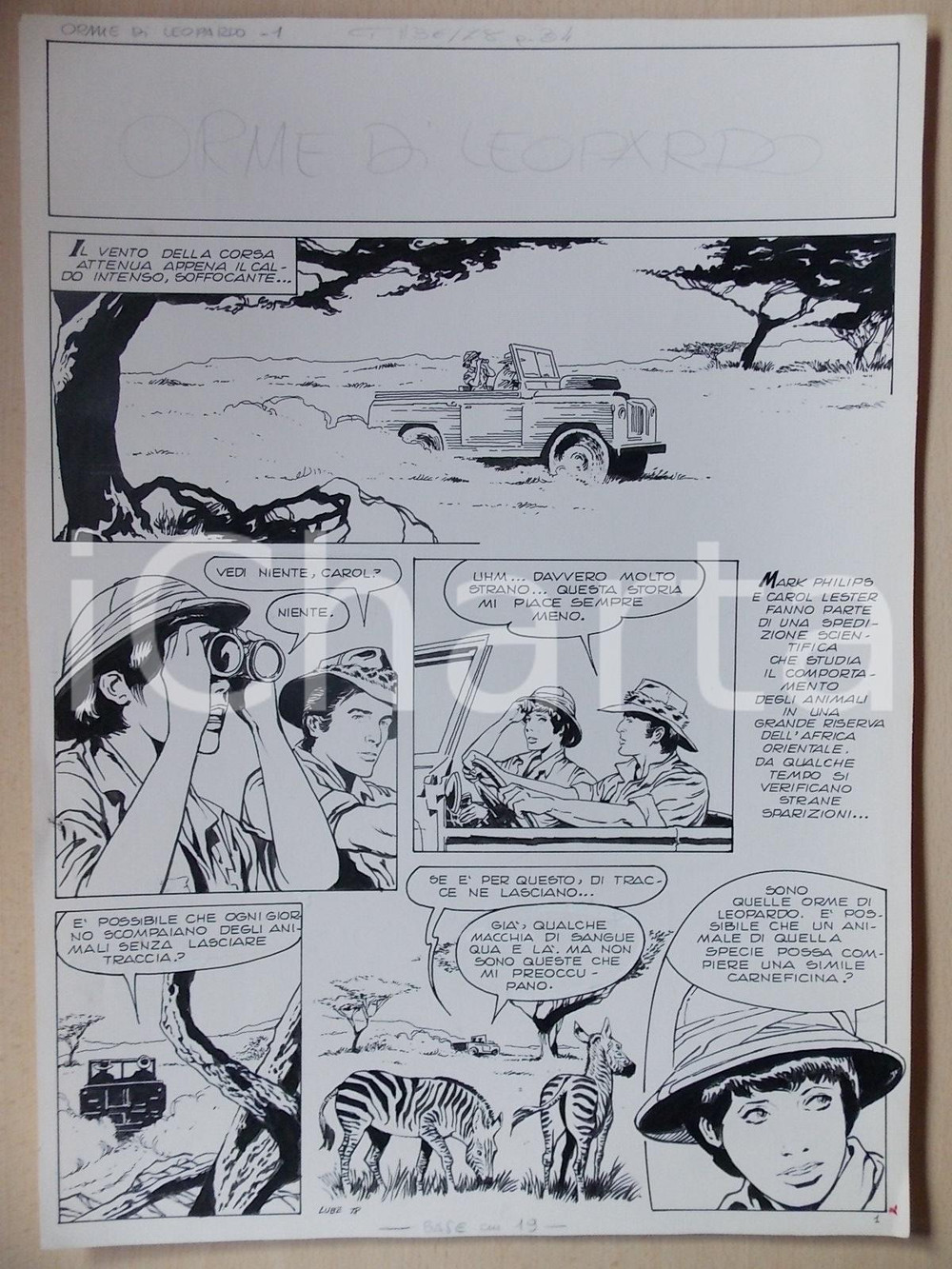 Opera d’arte autentica 1975 ca ORME DI LEOPARDO Luciano BERNASCONI Safari africano Tavola originale 1