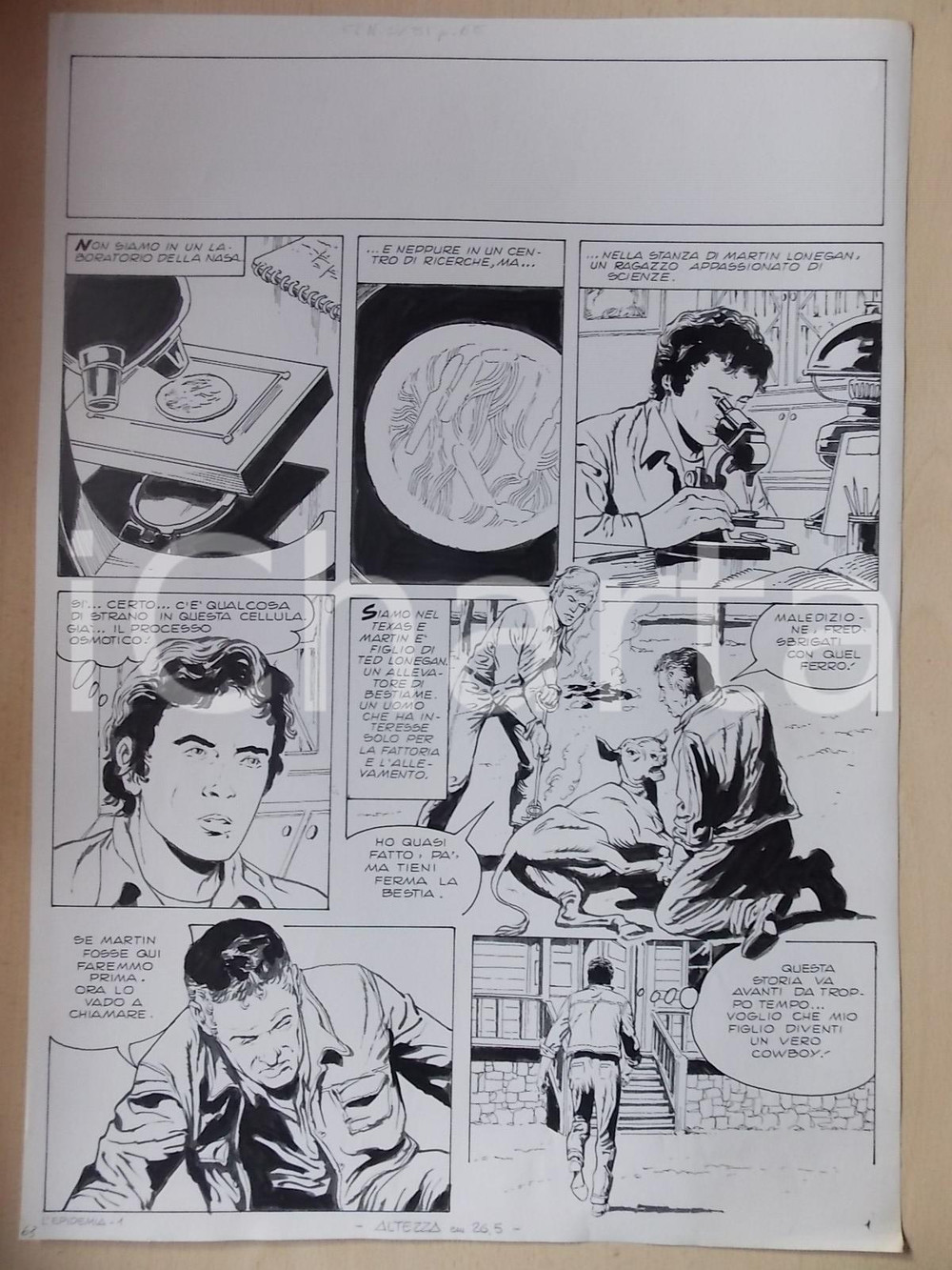 Opera d’arte autentica 1975 ca EPIDEMIA Luciano BERNASCONI Marchiatura bestiame in TEXAS Tavola LUBE 1