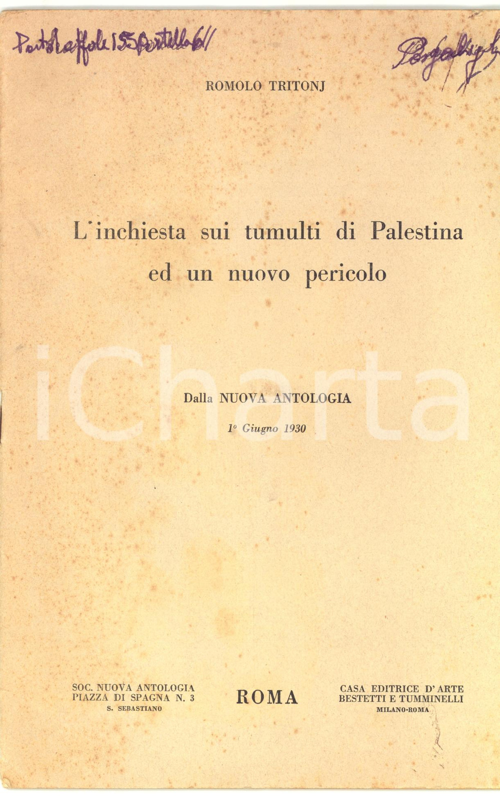 Libro, pubblicazione d epoca 1930 Romolo TRITONJ L inchiesta sui tumulti di Palestina ed un nuovo pericolo 1