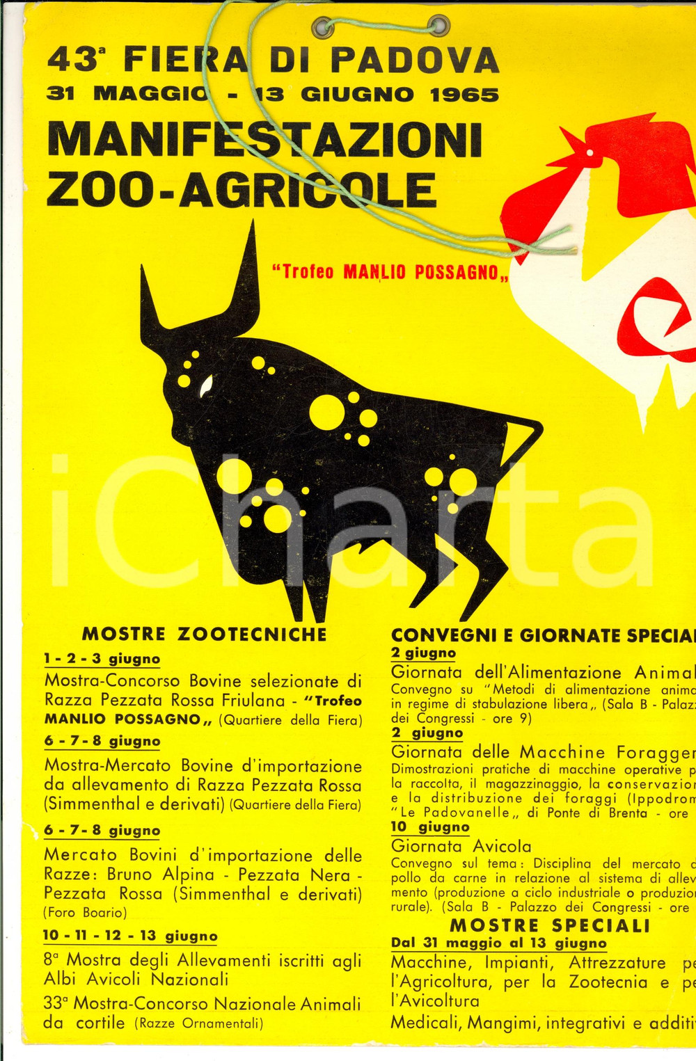Materiale pubblicitario d’epoca 1965 43 FIERA DI PADOVA Trofeo MANLIO POSSAGNO Manifesto 25 x 35 cm 1