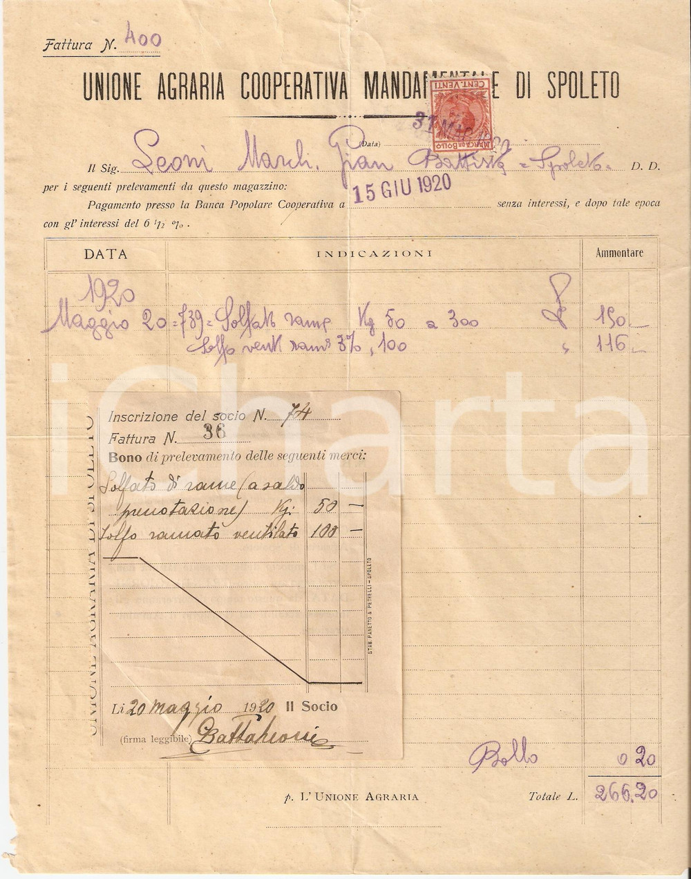 Documento originale, autentico 1920 SPOLETO Unione Agraria COOPERATIVA Mandamentale SOLFATO RAME Fattura 1