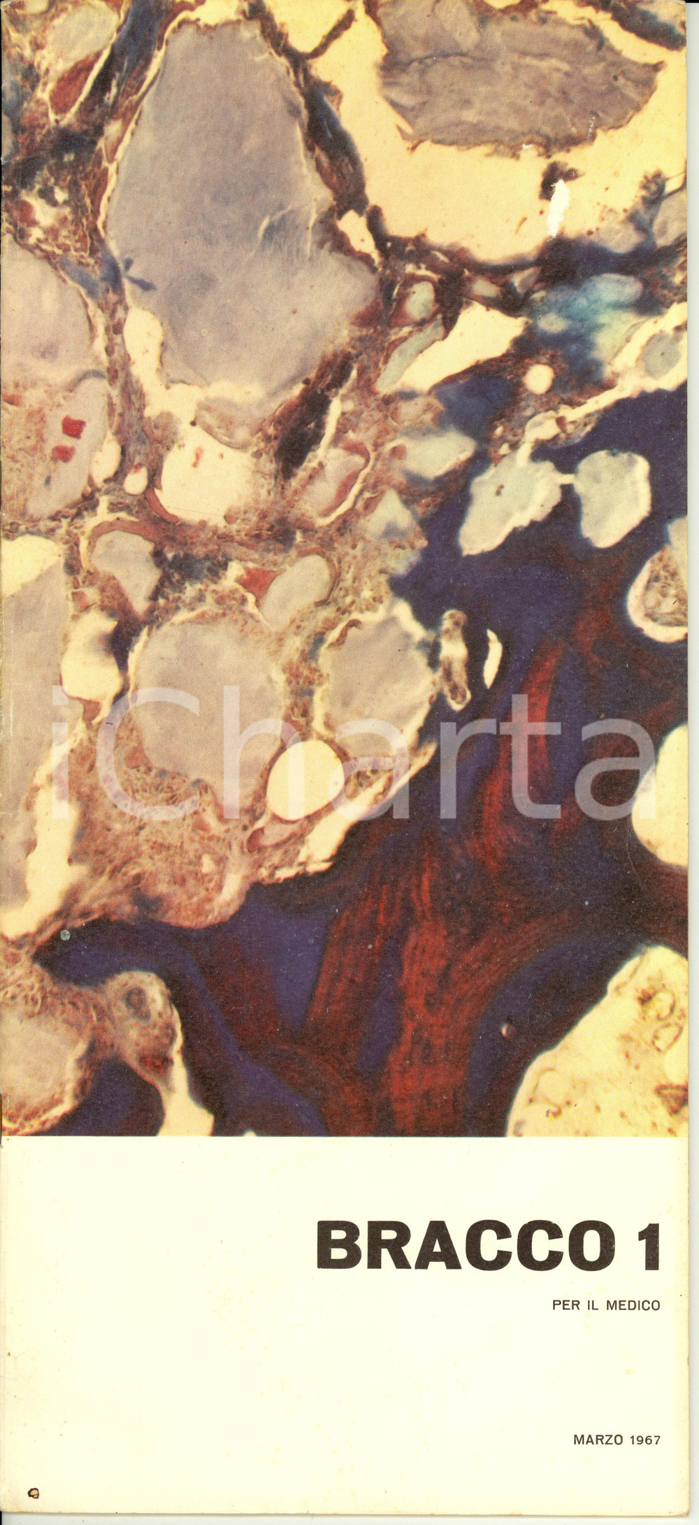 Giornale, rivista storica 1967 Periodico BRACCO n. 1 Storia e terapia della GOTTA Rivista 1