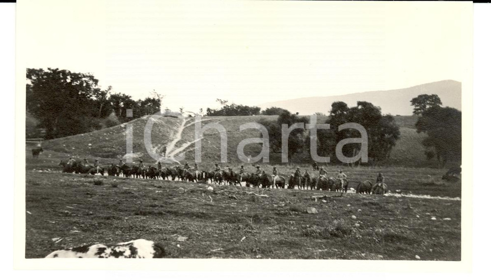 Fotografia d epoca originale 1913 WILLIAMSTOWN USA US CAVALRY with horses Photo 1