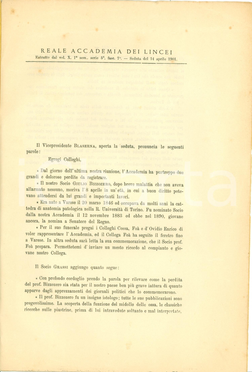 Libro, pubblicazione d epoca 1901 ACCADEMIA LINCEI In morte Giulio BIZZOZERO padre istologia Pubblicazione 2 1