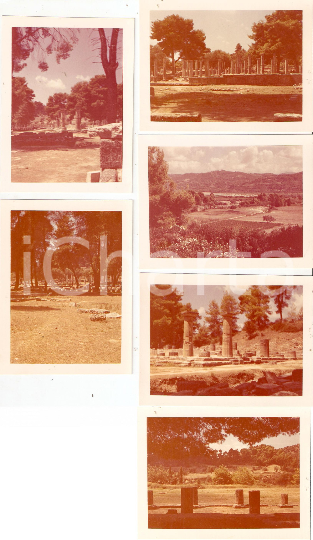 Fotografia d epoca originale 1961 OLYMPIA GREECE Panorama con resti del Tempio di HERA Lotto 6 foto 1