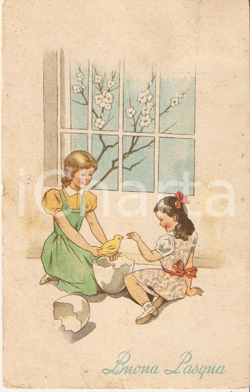 Cartolina originale da collezione 1950 BUONA PASQUA Bambine assistono alla nascita di un pulcino Cartolina FP VG 1